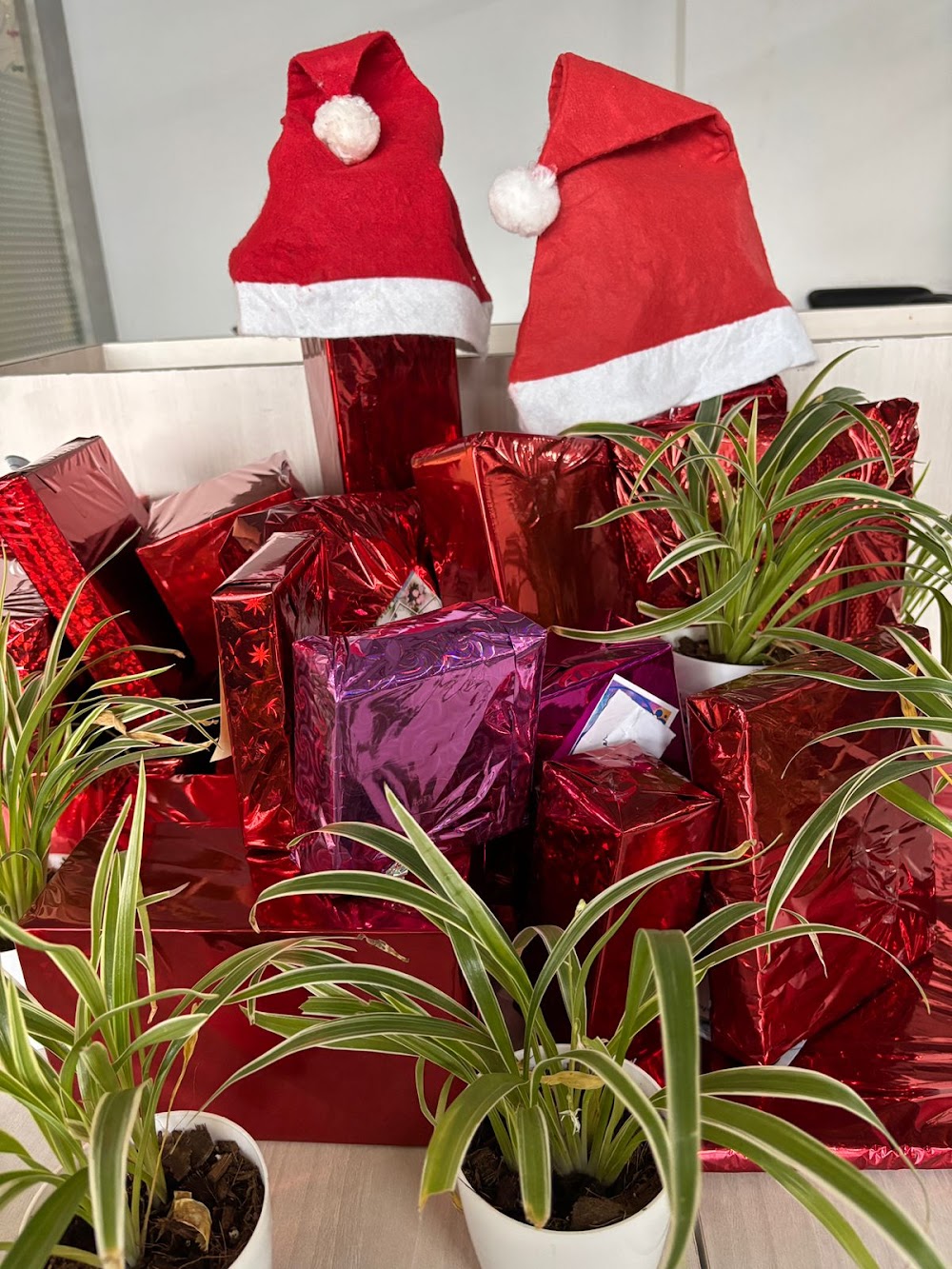 Christmas Celebration